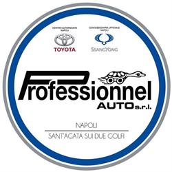 Professionnel Auto S.r.l.