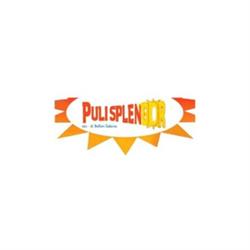 Pulisplendor Impresa di Pulizie