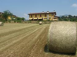 Azienda Agricola Agrituristica La Cascina Dei Prati Di Polini Simone