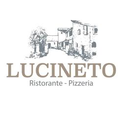 Ristorante Lucineto di Cocco Valentina Pizzeria Forno a Legna