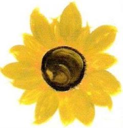 Scuola Di Cucina Girasole
