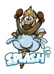 Splash Gelateria Di Cervelli