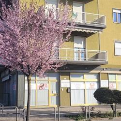 Stare Bene SRL SRL Poliambulatorio