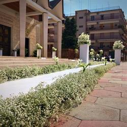 Green Garden Di Gadaleta Vito & Cosimo S.n.c.