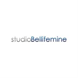 Bellifemine Geom. Andrea Studio Tecnico