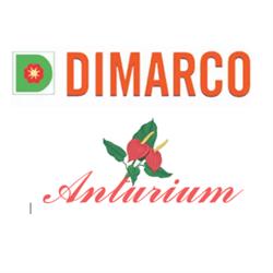 Agenzia Funebre e Floricoltura Dimarco