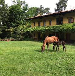 Agriturismo Alba Chiara Az. Agenzia Albachiara