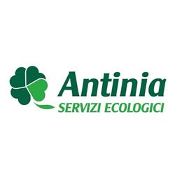 Antinia