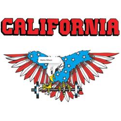 California Gym Palestre