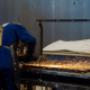 Gallery Professionale