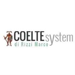 Coelte System