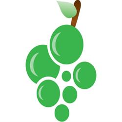 Frutta Viva Srl