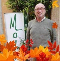 Molina Manlio