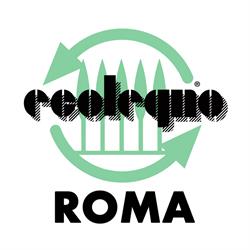 ECOLEGNO ROMA srl