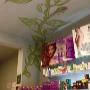 Parafarmacia Pharmahappy