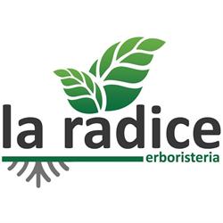 Erboristeria La Radice