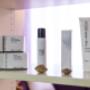 Gallery Professionale
