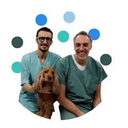 Ambulatorio Veterinario Argo dei Dott Abate s Ratto a