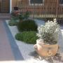 Piante in Vaso