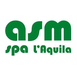 ASM S.P.A.