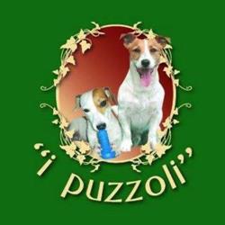 I Puzzoli