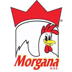 Macelleria Morgana ®