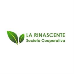 La Rinascente Impresa di Pulizia