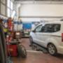 Gallery Professionale