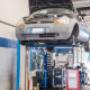 Gallery Professionale