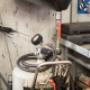 Gallery Professionale