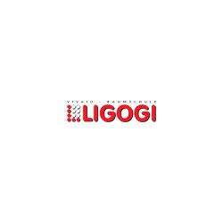 Ligogi S.r.l.