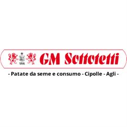 Gm Sottotetti