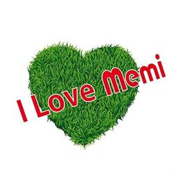 Memi s.a.s. di Gualco Luca