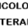 Psicologo Psicoterapeuta