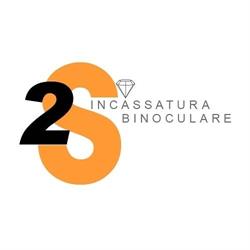 2 Esse Incassatura Binoculare SRL Incassatura a Microscopio