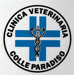Clinica Veterinaria Colle Paradiso Gsv Srl