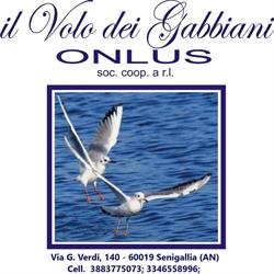 IL VOLO DEI GABBIANI - Servizio di Pulizia - Manutenzione del Verde - Logistica