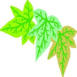 Le Foglie di Lorien
