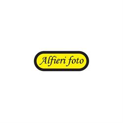 ALFIERI FOTO srl