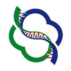 Diagnostica Biomolecolare San Modestino S.r.l. Laboratorio Di Analisi