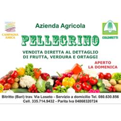 Azienda Agricola Pellegrino