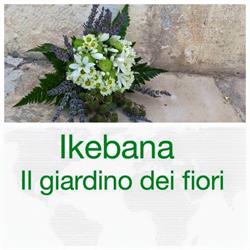 Ikebana Il Giardino Dei Fiori Di Sportelli Vita Maria