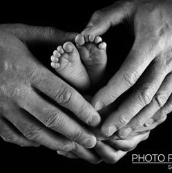 Photo - Parsani Di Parsani Angelo Servizi Fotografici