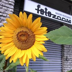Fotozoom Di Magri Rossana
