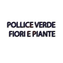 Pollice Verde Fiori e Piante