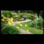 Lavori di Giardinaggio