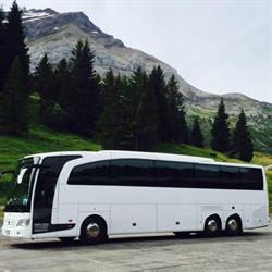 Brignoli Travel SRL