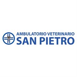 Ambulatorio Veterinario San Pietro
