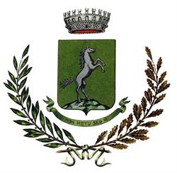 Comune Di Cavaglia'