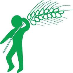 Cooperativa Agricola 'la Fiorita' SOC. COOP. a R.l.